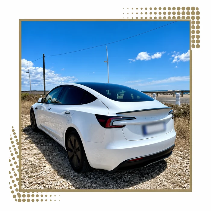 Vue arrière d’une Tesla Model 3 blanche près du littoral