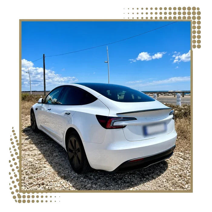 Rear view of a white Tesla Model 3 near the coast